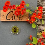 Cille Apartments, Village Ballyferriter