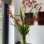 Apartmán Cille Apartments, Village *